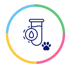 Atendimento de excelência a mais de 15 anos em Maringá a Cães e Gatos.