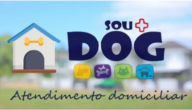 Veterinario Domicilio.png