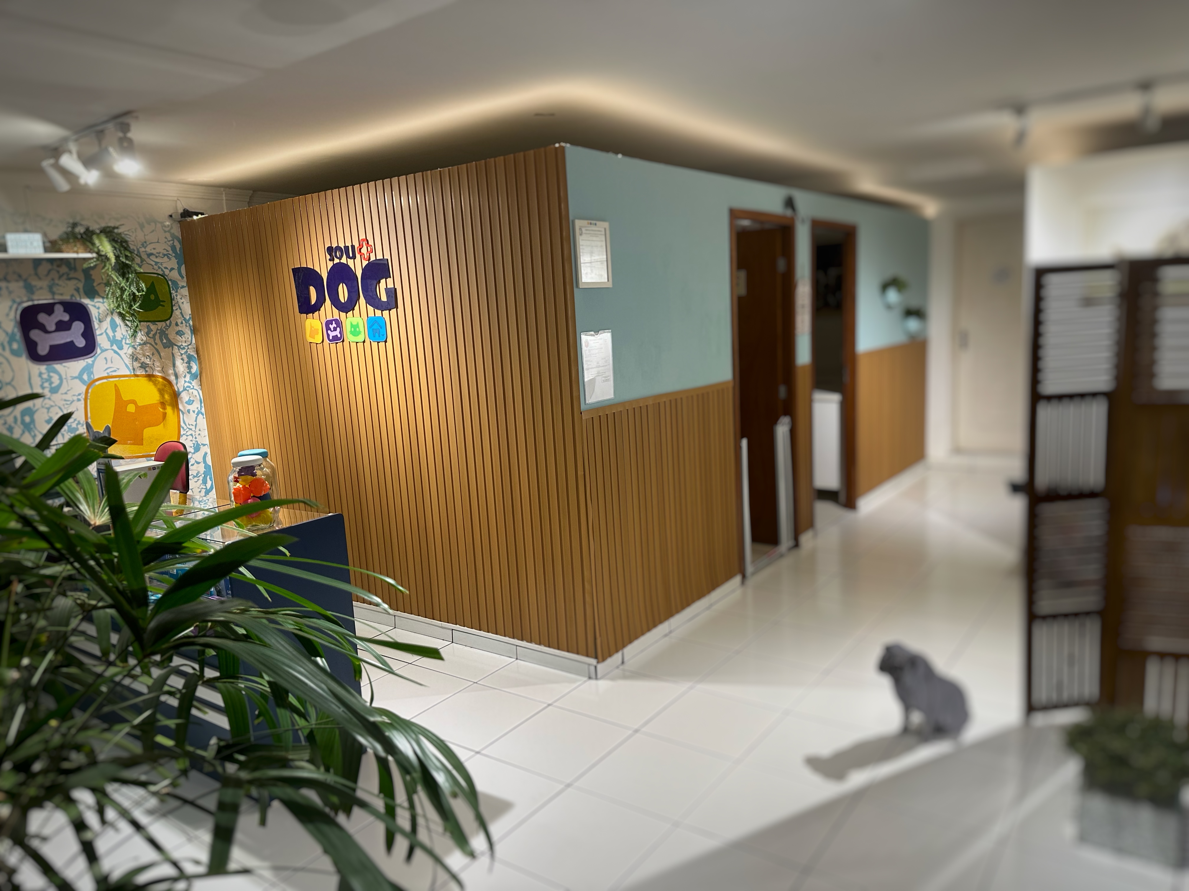 Clinica Veterinaria Maringa 24H.JPG