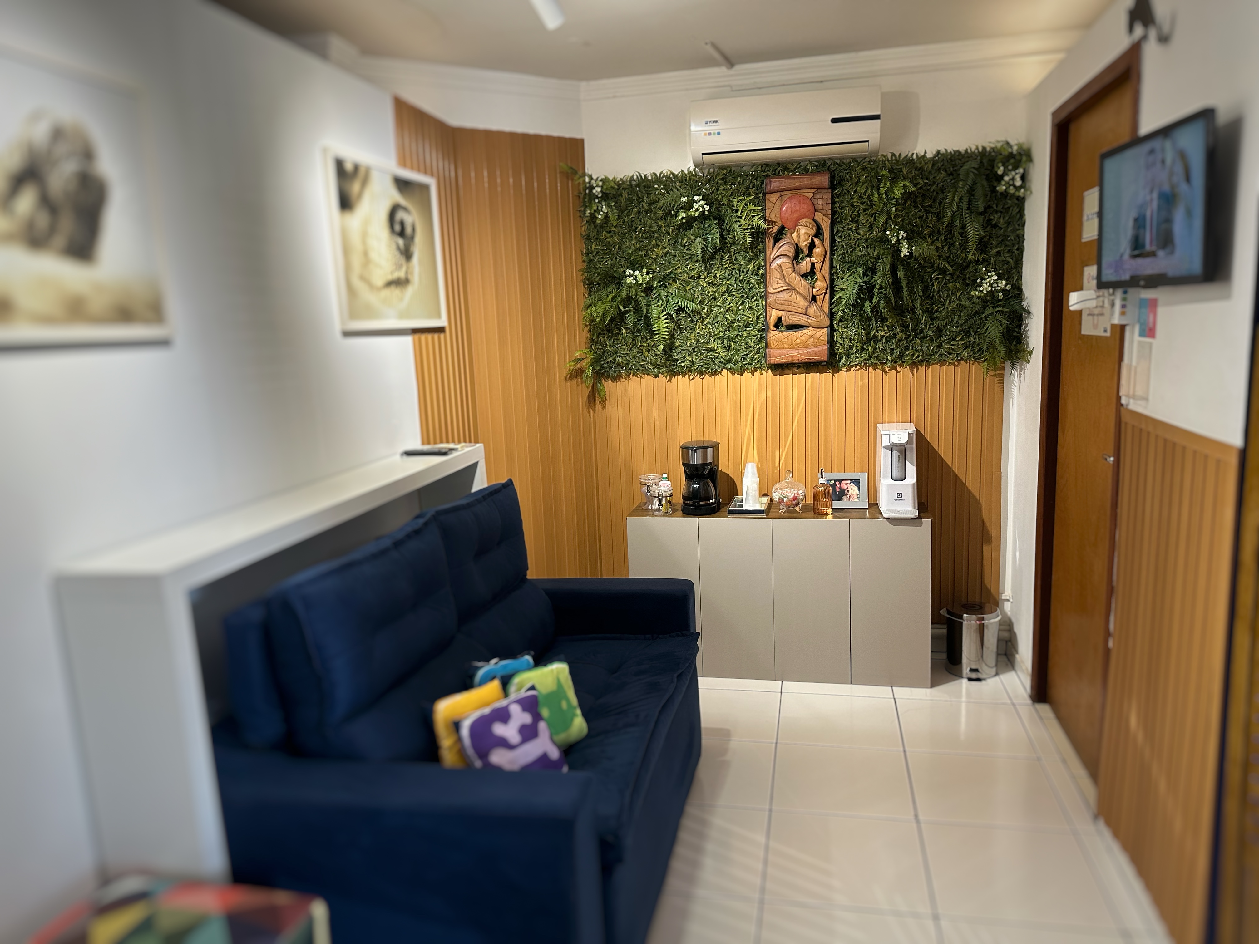 Veterinario Maringa 24H.JPG