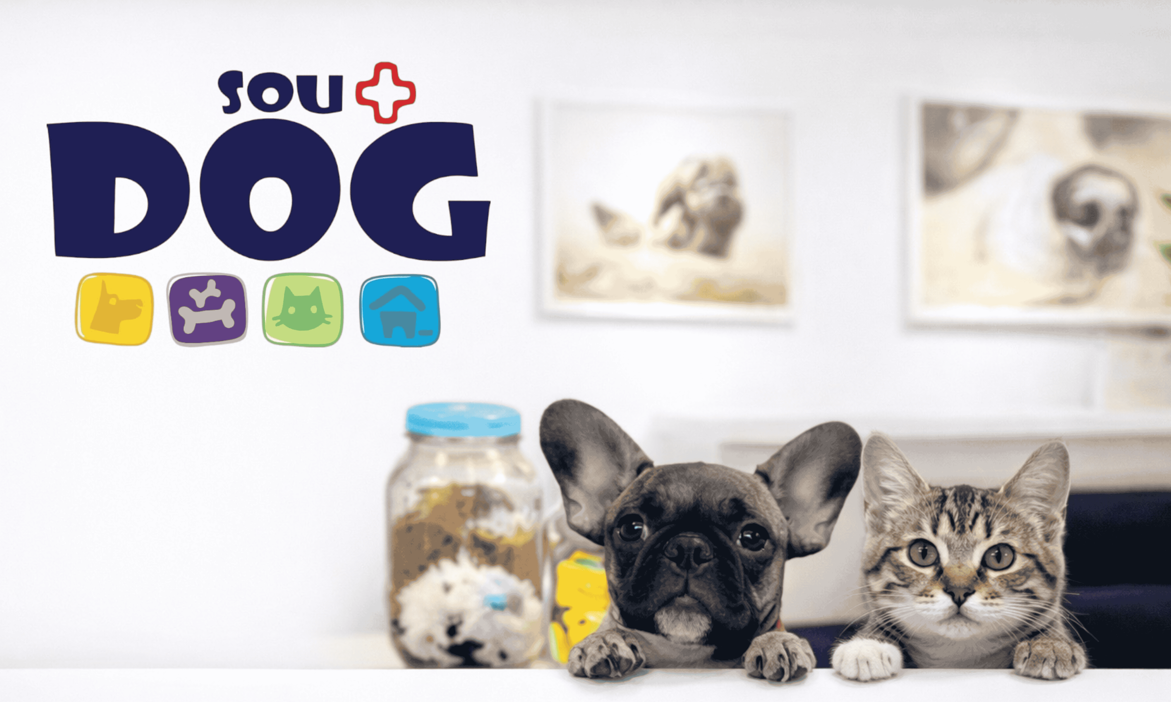 Clinica Veterinária em Maringá 24 Horas. Há mais de 15 anos Cuidando dos Pets na Zona 6. Veterinário com Experiência.