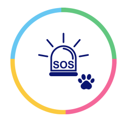 Plantão de Atendimento Veterinário 24 Horas em Maringá. Clínica Veterinária 24 Horas há mais de 15 anos na Zona 6. Atendimento Imediato.